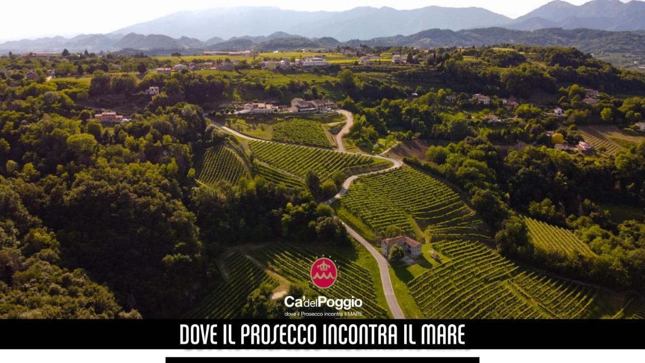 Villa Del Poggio Prosecco Bike Hotel San Pietro Di Feletto Екстериор снимка